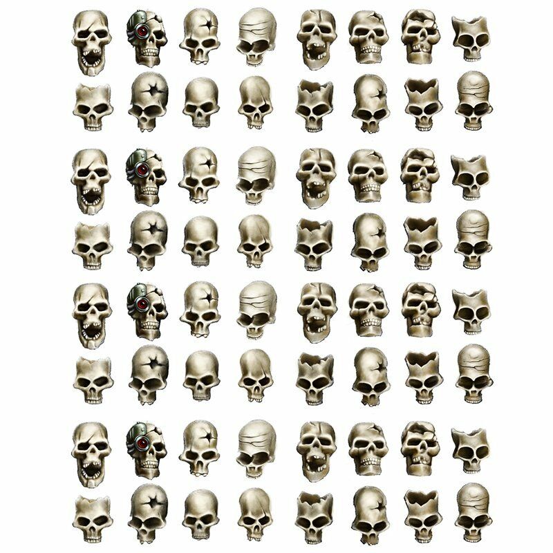 Human Skulls (64u)